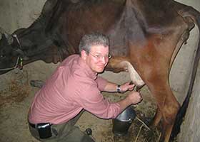Photo of Kaiser milking cow