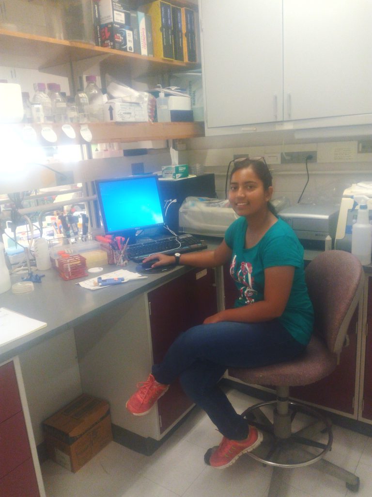 Summer Internship 2016 - Blog